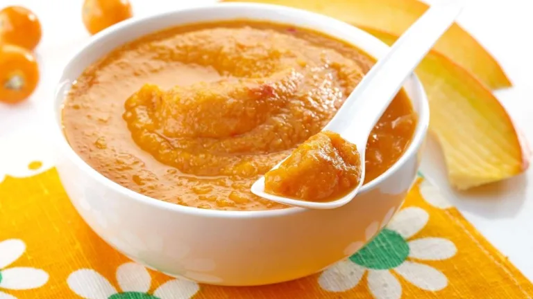 Imagem de receitas de papinhas salgadas de bebê